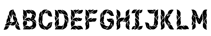 Calluna Regular Font UPPERCASE