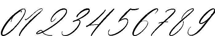 Camalla Rose Italic Font OTHER CHARS