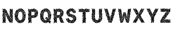 Cami Regular Font UPPERCASE