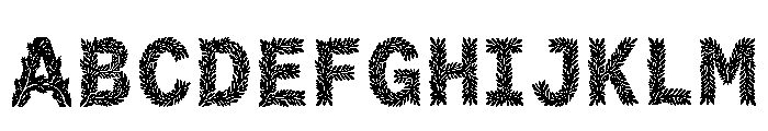 Cami Regular FONT