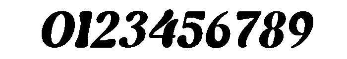 Camstey-Italic Font OTHER CHARS