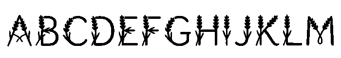Capua Regular FONT