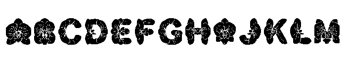 Carex Regular FONT