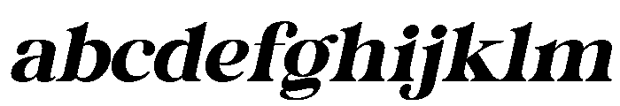 Castina Editorial Exp Slant FONT