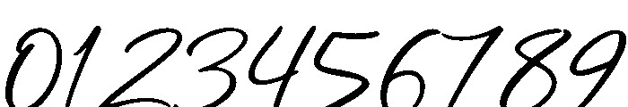 Cathelink Regular Font OTHER CHARS