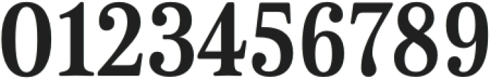 Cabrito Serif Cond Bold otf (700) Font OTHER CHARS