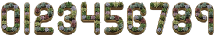 Cactus In Pot Regular otf (400) Font OTHER CHARS