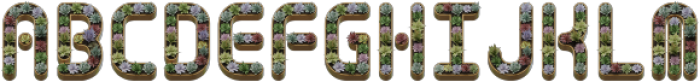 Cactus In Pot Regular otf (400) Font UPPERCASE