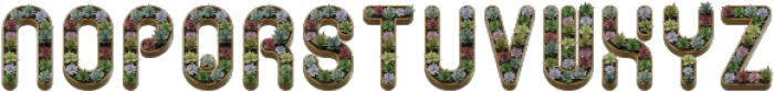 Cactus In Pot Regular otf (400) Font UPPERCASE