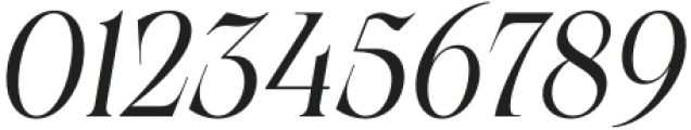 Calgera Condensed Oblique otf (400) Font OTHER CHARS