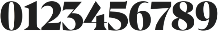 Calibra Variable Black ttf (900) Font OTHER CHARS