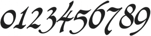 Caligraf Bold Regular ttf (700) Font OTHER CHARS