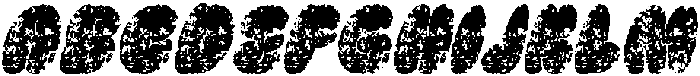Calley Stamp Italic otf (400) Font UPPERCASE