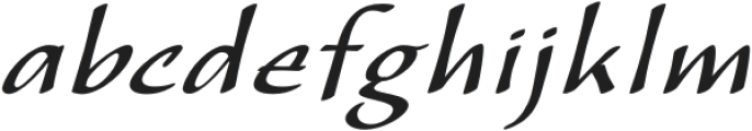 CalliSans Italic otf (400) Font LOWERCASE