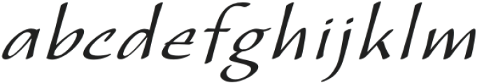 CalliSans Light Italic otf (300) Font LOWERCASE