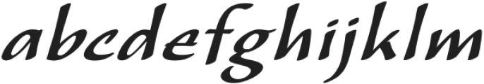 CalliSans Medium Italic otf (500) Font LOWERCASE