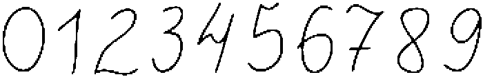 Camelia Regular otf (400) Font OTHER CHARS