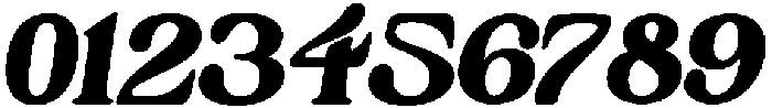 Camheon Italic otf (400) Font OTHER CHARS