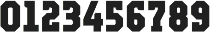 Campione Neue Serif ExtraBold otf (700) Font OTHER CHARS