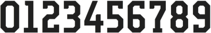 Campione Neue Serif Medium otf (500) Font OTHER CHARS