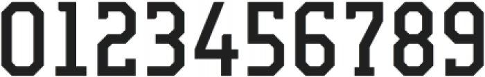 Campione Neue Serif Regular otf (400) Font OTHER CHARS