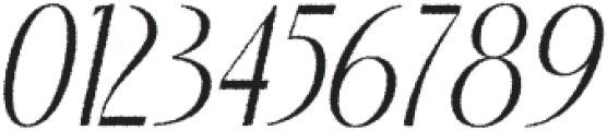 Capires Rough Italic otf (400) Font OTHER CHARS