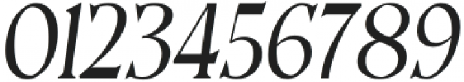 Casta Condensed Slanted otf (400) Font OTHER CHARS