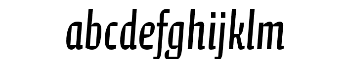CalcitePro-Regular Font LOWERCASE