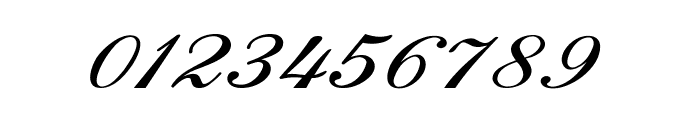 Calligri-ExpandedItalic Font OTHER CHARS