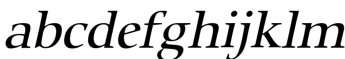 Carmine Italic Font LOWERCASE