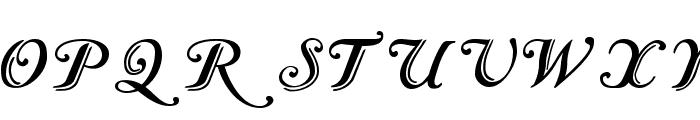 Caslon Calligraphic Initials Font LOWERCASE