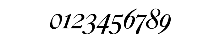 CaslonNo540SwaD Italic Font OTHER CHARS
