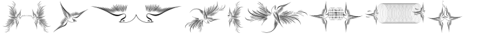 Calligraphic Birds Two Regular Font OTHER CHARS