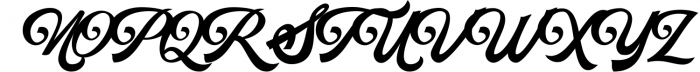 Calligraphy & Display Script Font Bundle - Best Seller Font 10 Font UPPERCASE
