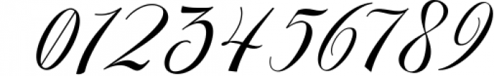Calligraphy & Display Script Font Bundle - Best Seller Font 7 Font OTHER CHARS