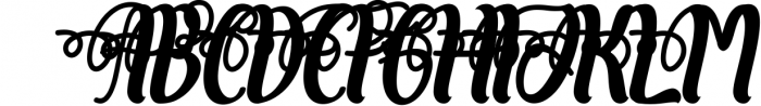 Calligraphy & Display Script Font Bundle - Best Seller Font Font UPPERCASE