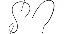 Calligraphy Font Bundles 5 Font OTHER CHARS