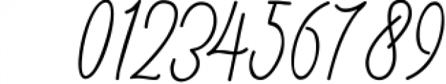 Calligraphy Font Bundles 7 Font OTHER CHARS