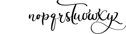 Calligraphy Wedding Decor Font Delight Font LOWERCASE