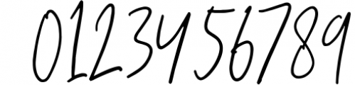 Camilla - Signature Script 6 Fonts 4 Font OTHER CHARS