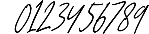 Camilla - Signature Script 6 Fonts Font OTHER CHARS