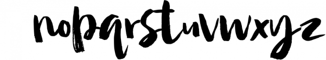 Camilla - Textured Brush Font 1 Font LOWERCASE