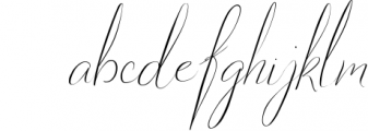 Cariad - A modern Script Font Font LOWERCASE