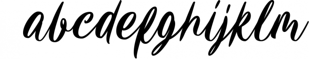 Carily Modern Script Font LOWERCASE
