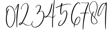 Carletone - Classy Signature Font OTHER CHARS