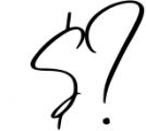Carletone - Classy Signature Font OTHER CHARS