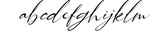 Carllitos // Luxury Signature Font Font LOWERCASE