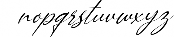 Carllitos // Luxury Signature Font Font LOWERCASE