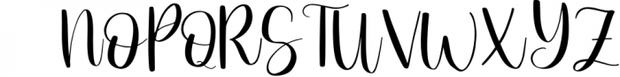 Carnation - Modern Calligraphy Font 1 Font UPPERCASE