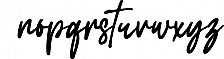 Carolina Signature Font LOWERCASE